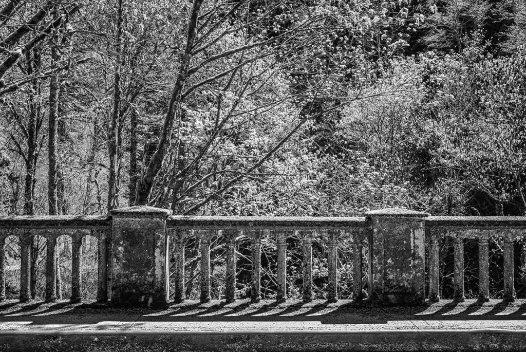 Bridge Railing, Columbia River, Oregon